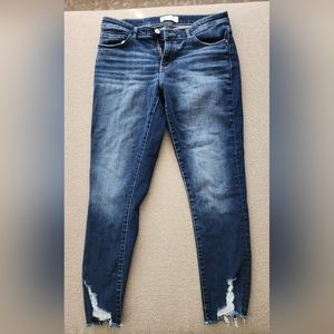 BKE Payton Jeans
